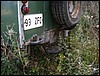 IMG_7956.JPG
