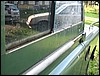 IMG_7966.JPG