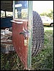 IMG_7969.JPG