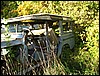 IMG_7979.JPG