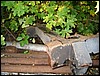 IMG_7986.JPG