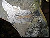 IMG_7988.JPG
