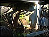 IMG_7991.JPG