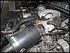 IMG_7299.JPG