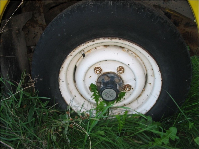 Image14.jpg